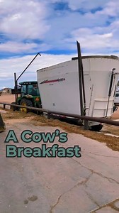 This isn’t your typical breakfast plate! 🍳🥓 Cow feed is carefully balanced and measured to meet all their nutritional needs, often with help from a nutritionist. Every bite counts for their health and milk production! #dairy #cow #breakfast #food #foodprep #tmr #hay #cattle #dairydoc #dairykind | Dairy Doc