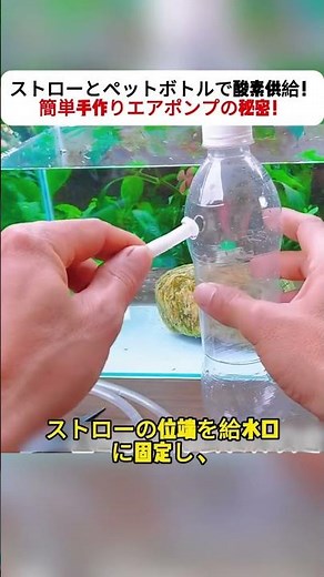 Supply oxygen with a straw and a plastic bottle! The secret to an easy homemade air pump! #DIY #A...