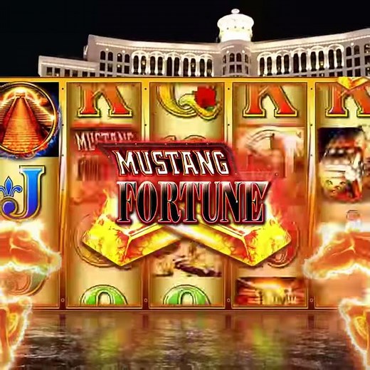Players Paradise Casino Slots