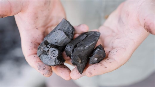 10 Best Green Energy Alternatives for Your Home