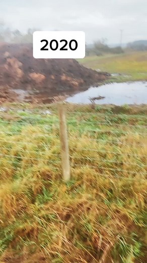 2020 retold in one clip 🤦🏻‍♀️😂