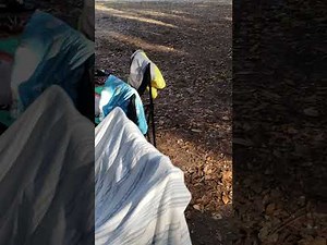 RV Door Not Closing Properly, Helpful Tip!