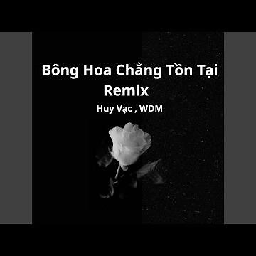 Bông Hoa Chẳng Tồn Tại (Remix)