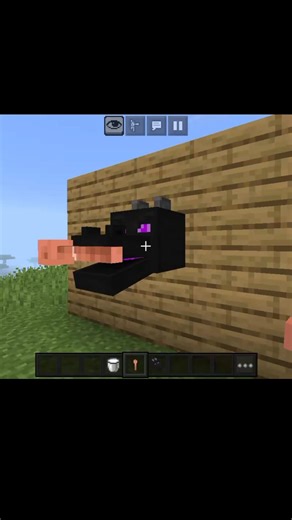 Minecraft DRAGON HEAD Hack You Didn't Know! 🐉⚡