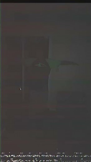 THE PEEPEE POOPOO MAN Official Trailer 2 (2018) Horror Movie (HD)