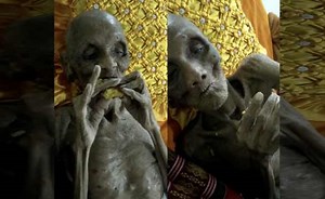 Bro Is The First Bro Ever: Oldest Living Human Seen Eating A Mystery Fruit!