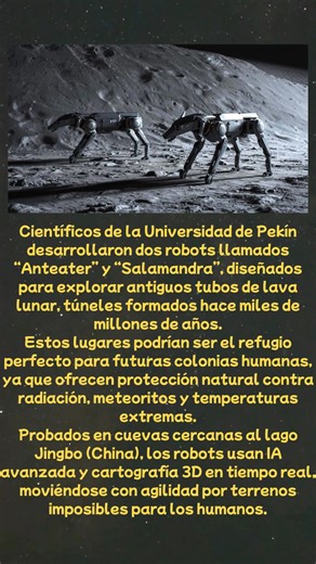 377K views · 3.6K reactions | 烙 China crea perros robóticos para explorar cuevas lunares  #reelsforyou #sciencefacts #fblifestyle #fypageシ | BuhosQuo Ciencia | Facebook