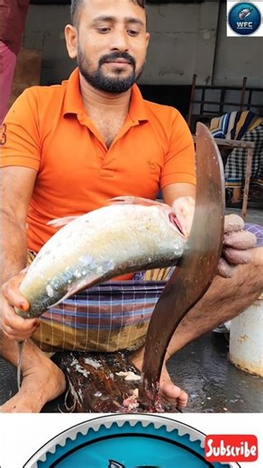 Bighead Fish Cutting with Hook Knife | Satisfying Fish Processing Skills #fishprocessing #fillet
