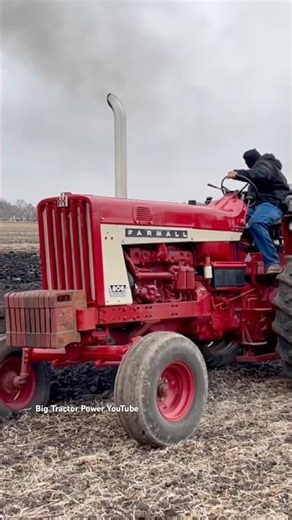 IH FARMALL 806 Tractor Plowing #bigtractorpower #internationalharvester #tractor