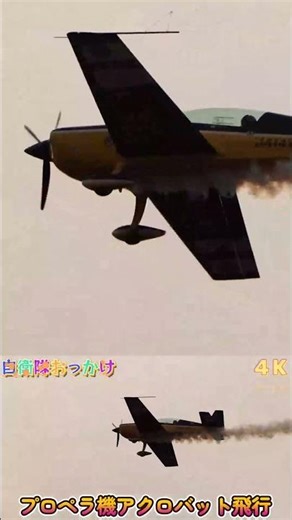 青空を舞う華麗なアクロバット！プロペラ機の迫力フライト＠2023岐阜基地航空祭 #shorts