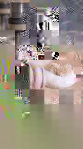 781K views · 1.8K reactions | Game on! Creative chess-themed crafts for real fans! | 5-Minute Crafts | Facebook