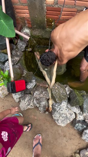Pesca de Carpa: Descobrindo o Mistério dos Peixes