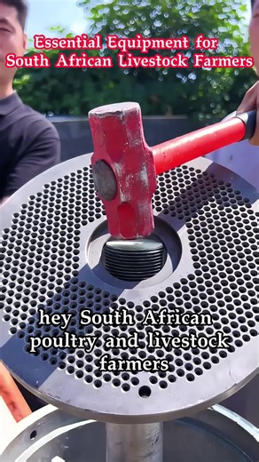 Pellet Machine Revolutionizes Feed Cost in South Africa