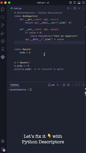 Only Python Pros Know This #coding #programming #descriptors #python #pythonprogramming