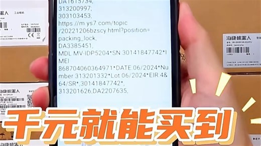 海康机器人 PDA工业手持终端 仓储物流快递盘点扫描枪（2102）