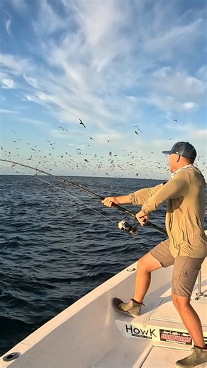310K views · 7.2K reactions | Mexico's Biggest Tuna #fishing | Ryan Morie Outdoors | Facebook