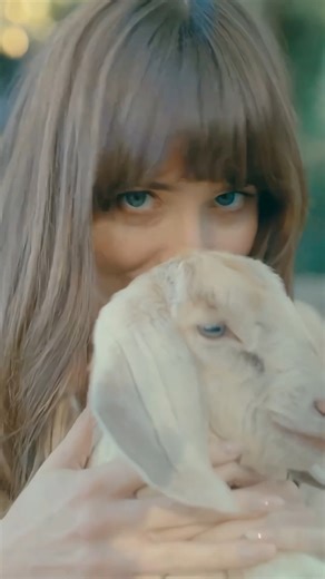 Dakota was mesmerising in this Bustle magazine photoshoot ♥️ #lifestyle #fblifestyle #DakotaJohnson #viralreels | Dakota Mayi Johnson Forever.