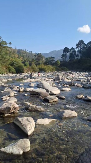 Lovely evening with guest 😊 Saw brown dipper, ruby throat and other species. Sakshi Naturalist | Santosh Kohli