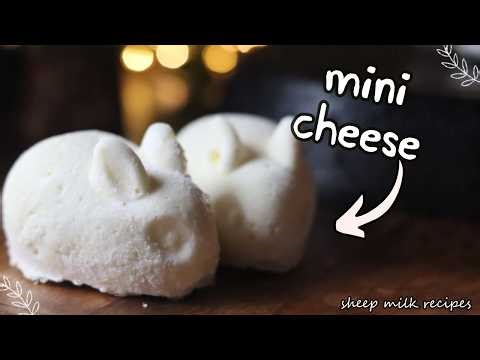 The best cheese ever invented? 🐑🥛[Micro Batch Cheesemaking]