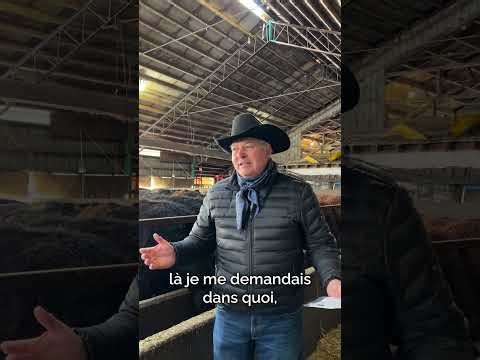 Crystalyx Repro Altosid Un outil clé pour la reproduction et le contrôle des mouches ; élevage bovin