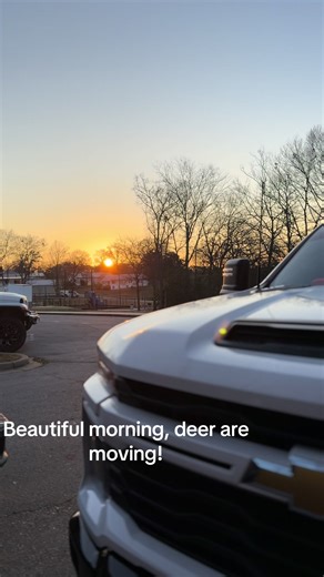 24 hr shift and I can get back in the woods, deer are all over cameras right now. #outdoor #hunting #deerhunting #fyp #bigbuck