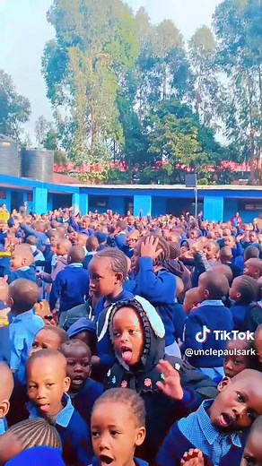 Uncle Paul's Ark on TikTok