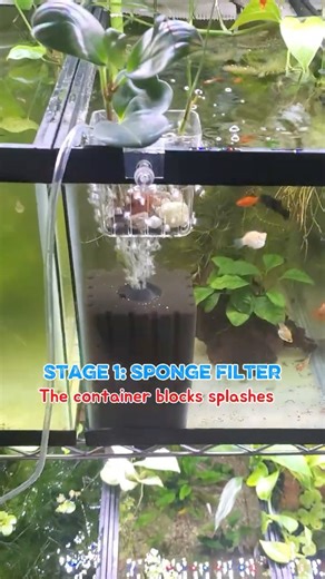 This Filter Design Keeps Water Perfectly Balanced #aquarium #filtration #fishtank