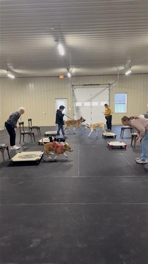 Class Pass at Greensburg Bed & Biscuit, Martinsburg, WV