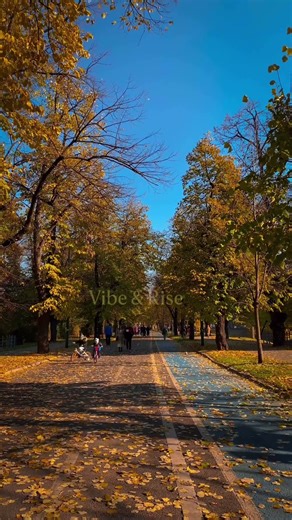 The beauty of autume lies in colorful leaves 🍂 #foryou