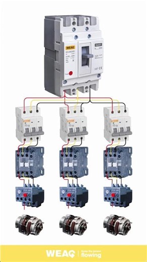 MCCB to 3 Motor Control Circuits | MCB + Contactor + Thermal Relay Wiring.