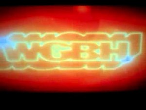 WGBH/American Public Television(2011)