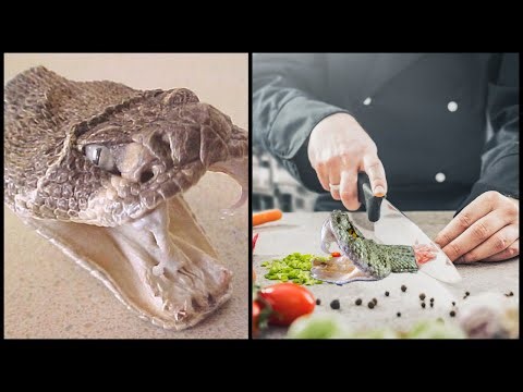 Chef cooking snake dies after cobra bites him 20 minutes after head was cut off