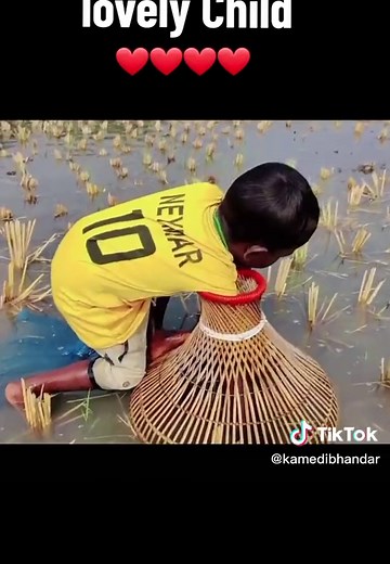 Catching Fish in Africa: Amazing Hand Fishing Techniques