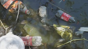 Free Garbage Videos: 4K & HD | No Watermark | Download Now