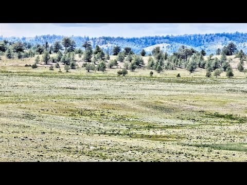 114 WALLS STREET, Hartsel, CO | South Park Ranches | 6 Acres Hartsel CO