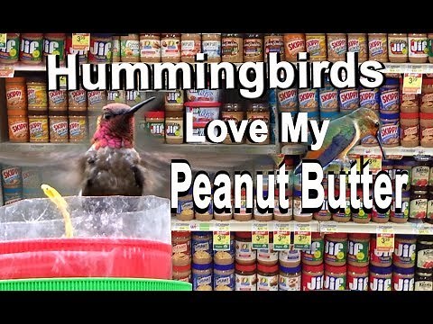 Hummingbird Feeder from Peanut Butter - DIY Set Up How to Make FREE with Jar-Attract Birds & Oriole