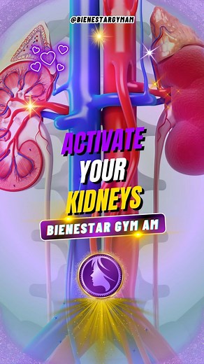 🔥 This simple chair exercise activates your kidneys and fills your body with energy! 💪✨ All you need is a chair and a few minutes a day to strengthen your body and revitalize your kidneys. Try it today and feel the difference! 🌿 #HealthyExercise #NaturalCare #VitalEnergy #DailyWellness | Wellness GYM AM