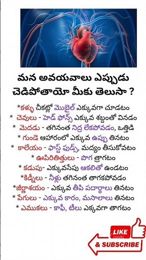 #Reasons Why Our Body Falls Sick