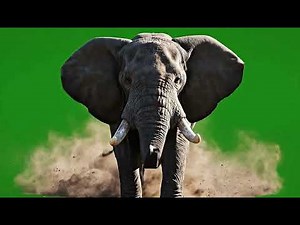 Intense Elephant Green Screen Effect: Powerful VFX Overlay for Film