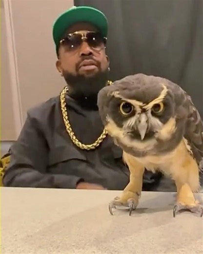 Big Boi and His Brother Built This Before the Music Stopped #shorts #luxury #dogs