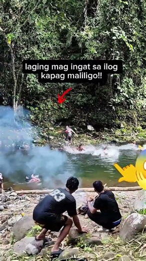 Why You Should ALWAYS Watch Your Surroundings in the Wild 🐍