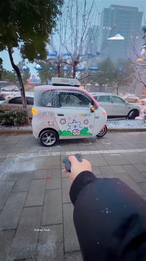She bought futuristic high-tech cars..
