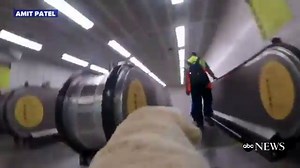 GoPro Wearing Guide Dog Brings Awareness to 'Super Hard' Job