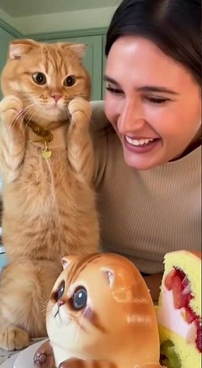 Real Cat Freaks Out! She Cuts a Cat Cake! #shorts