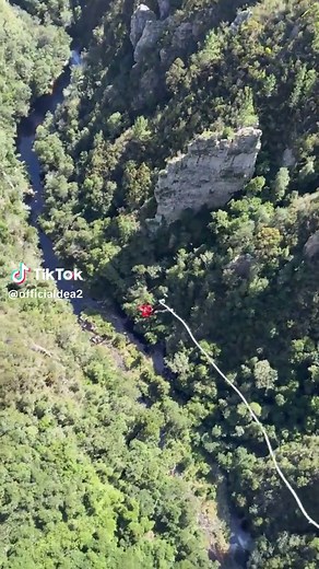 Bloukraans Bungy: Adrenaline Jump Experience