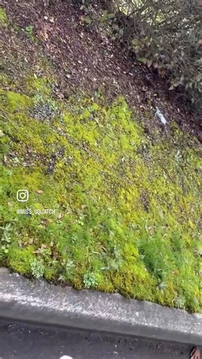 Absolutely terrifying A mother in Washington caught her kid skipping class to protest ICE. She tries to get him to leave, but he refused saying the schools allow it and he has a right to protest HOMESCHOOL YOUR KIDS | Libs of Tik Tok