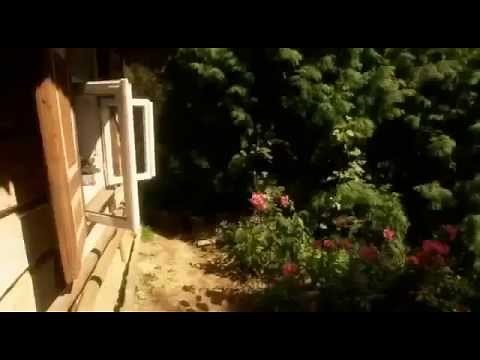 Cały Film po Polsku Komedia Lektor pl Polski Komedia 2015