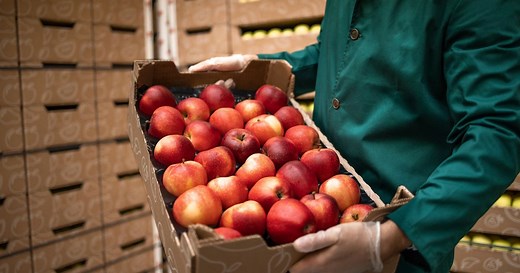 Voici comment congeler des pommes pour en profiter plus longtemps