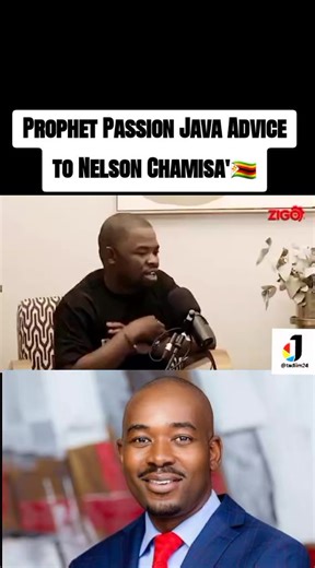 Prophet Passion Java Advice to Nelson Chamisa'🇿🇼 #passionjava #java #prophet #fyp #chamisa