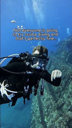 People make mistakes... ones we'll happily correct 😝 #scubadiving #diving #scuba #underwater #ocean